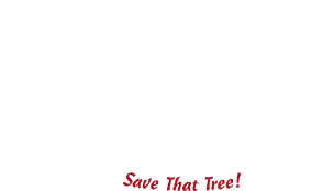 Falvey's Earthworks